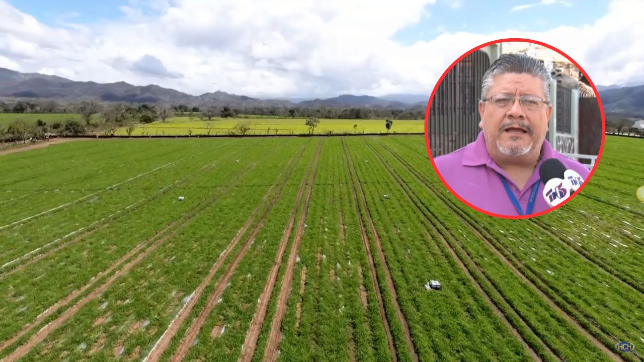 Copeco descarta hambruna ante falta de agua en Honduras Imagen de Copeco descarta hambruna ante falta de agua en Honduras