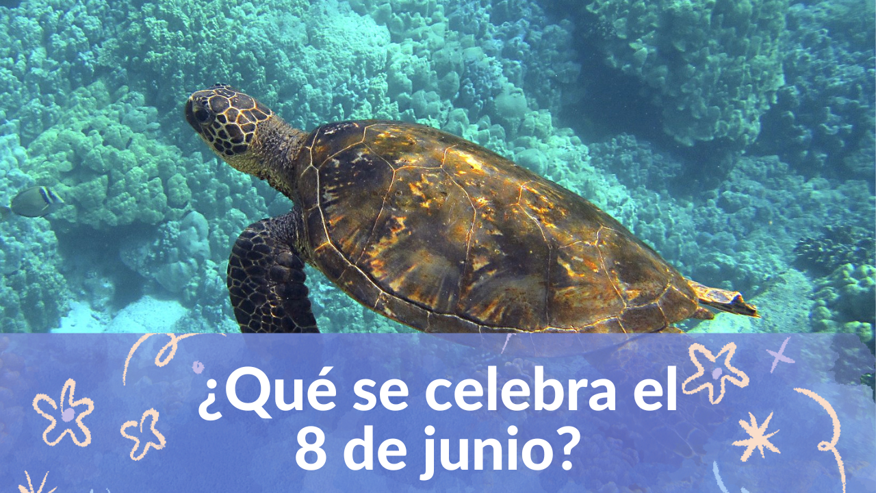 ¿Qué se celebra el 8 de junio?, origen y significado de esta fecha especial Imagen de ¿Qué se celebra el 8 de junio?, origen y significado de esta fecha especial