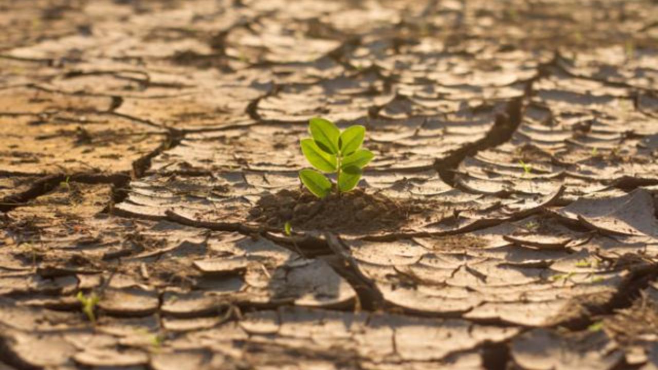 ¿Qué es el calentamiento global?, causas y su efecto en el planeta tierra Imagen de ¿Qué es el calentamiento global?, causas y su efecto en el planeta tierra