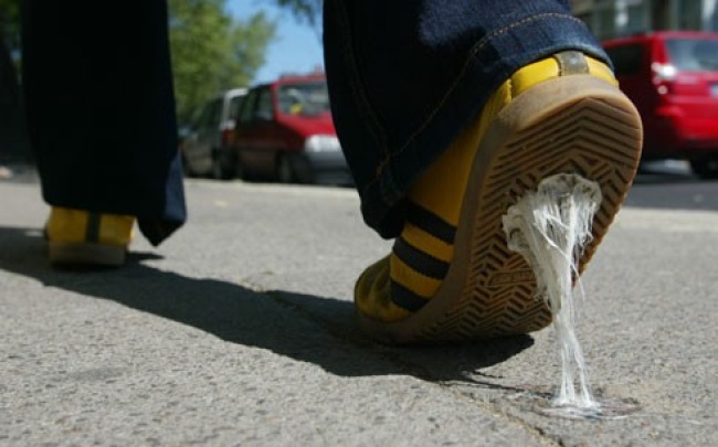 Los chicle pueden ser molestos y difícil de quitar de la ropa. Foto: Cortesía
