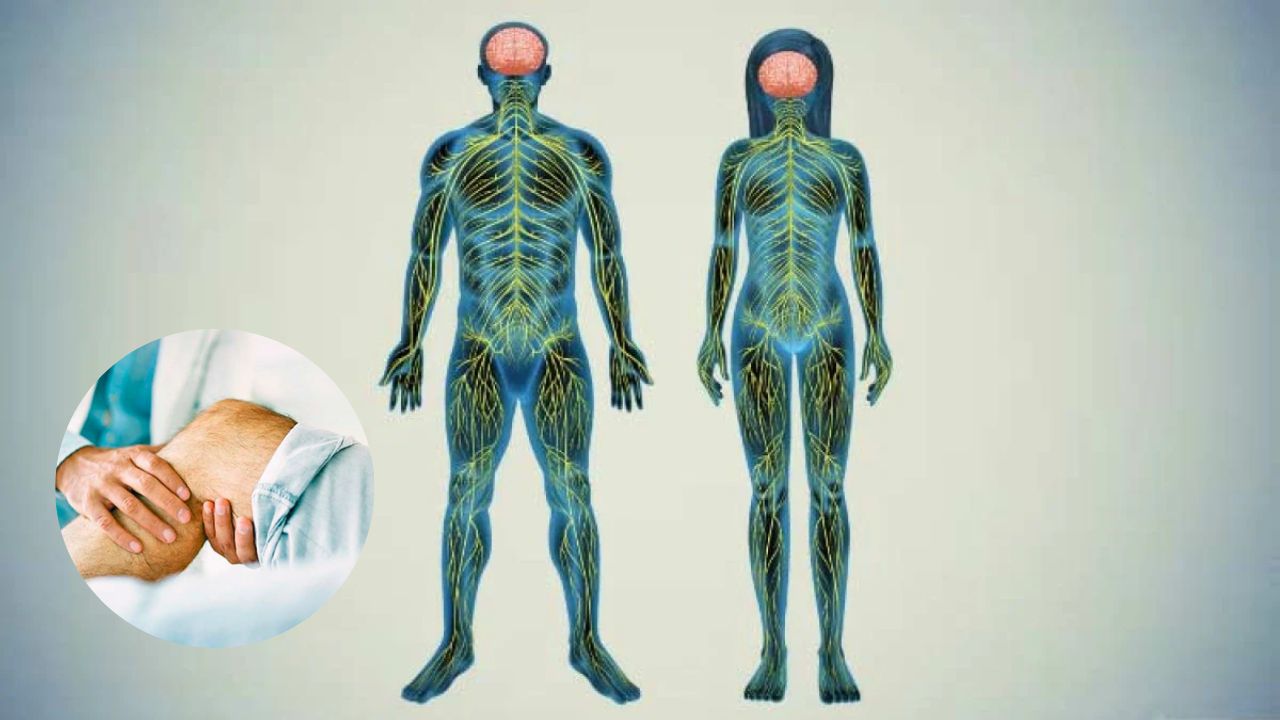 Imagen de Guillain-Barré: ¿cómo se contagia? lo que debes saber sobre esta enfermedad