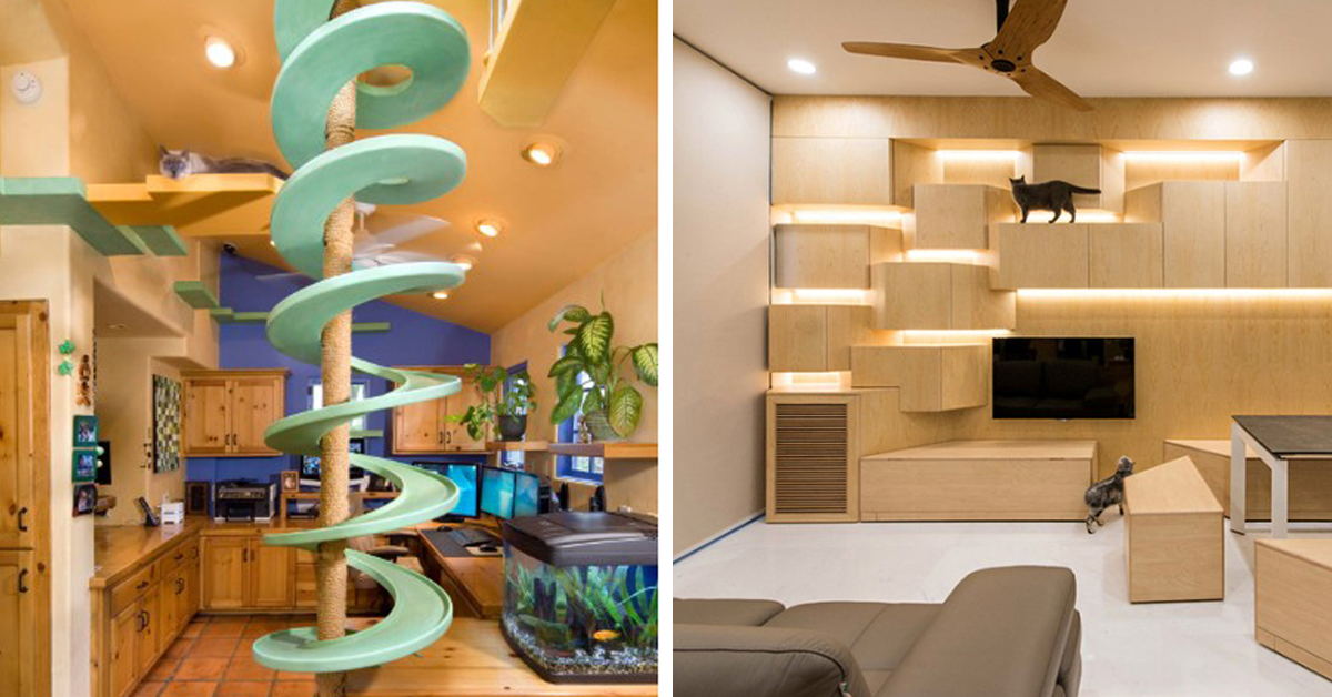 Ideas para un espacio para los gatos. Foto: Home Design Lover