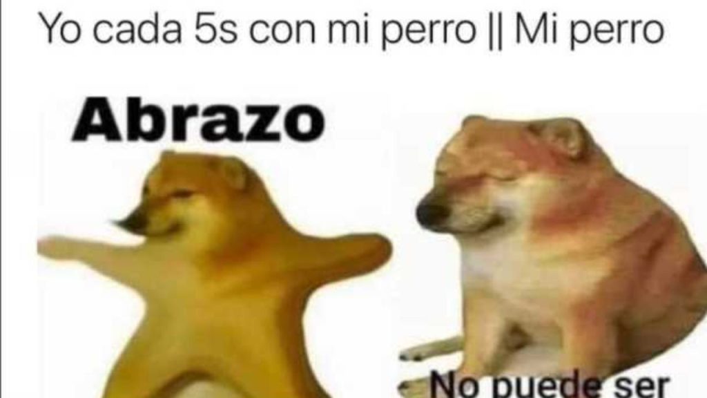 Cheems llorando