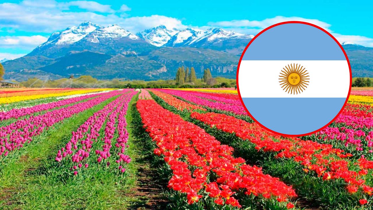 ¿Cuándo es primavera en Argentina 2023?, fecha de inicio y curiosidades de esta temporada del año Imagen de ¿Cuándo es primavera en Argentina 2023?, fecha de inicio y curiosidades de esta temporada del año