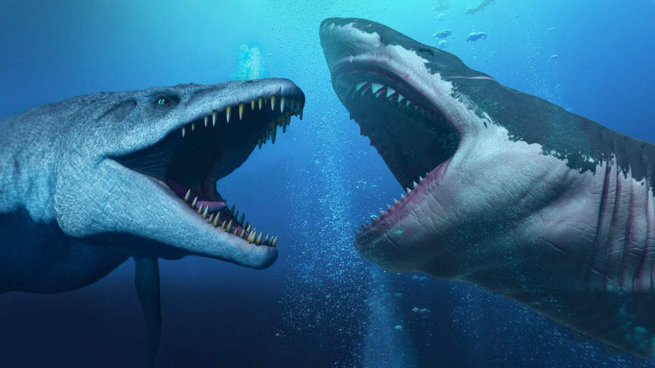 Mosasaurus vs Megalodón, ¿Quién ganaría en una batalla? Imagen de Mosasaurus vs Megalodón, ¿Quién ganaría en una batalla?