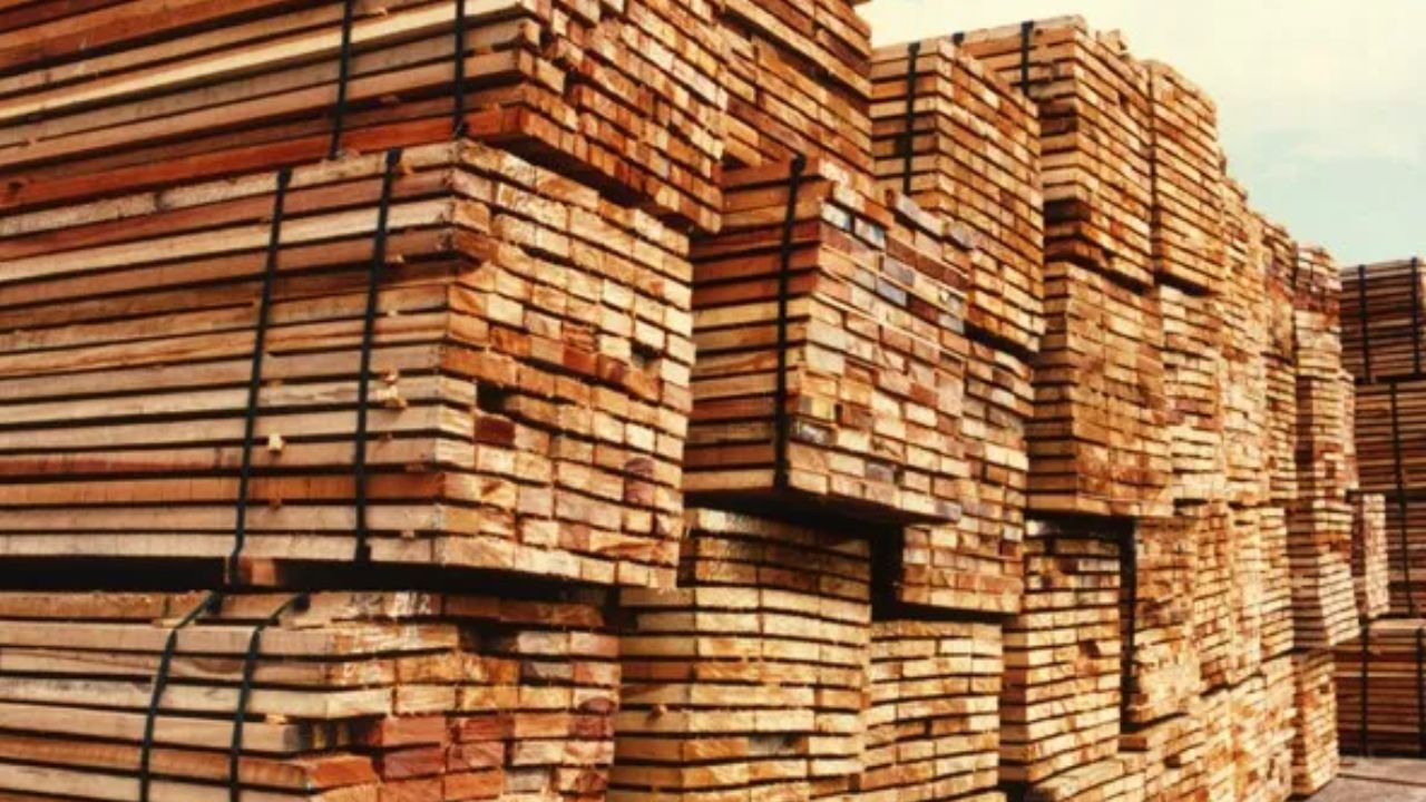 ¿Qué madera produce Honduras y también exporta? Imagen de ¿Qué madera produce Honduras y también exporta?