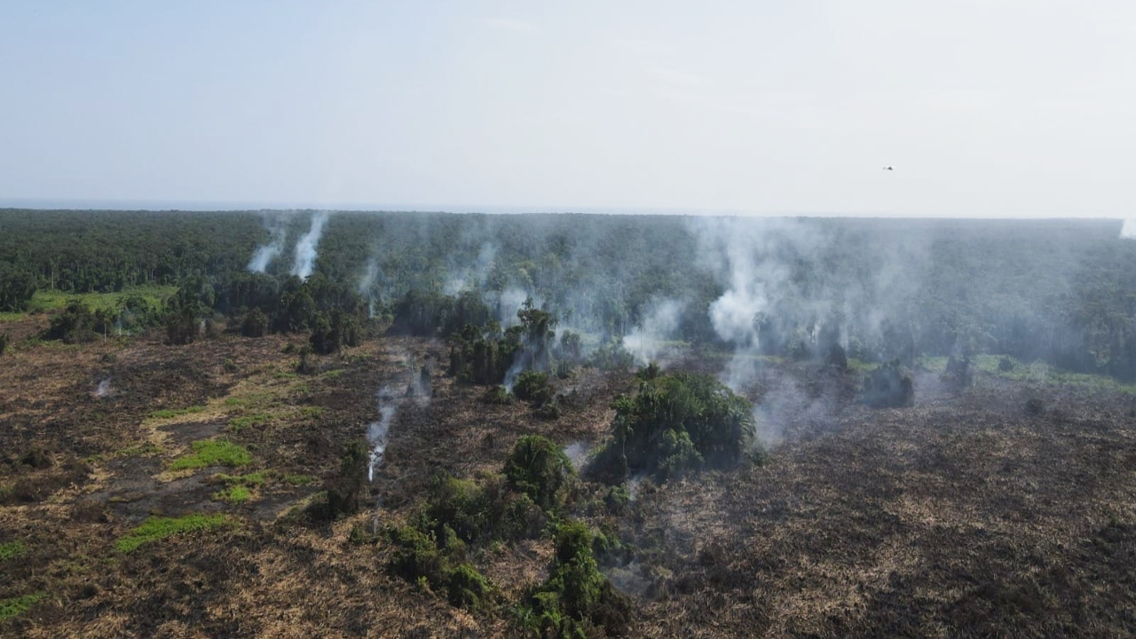 Se queman 120 hectáreas de zona núcleo y amortiguamiento de Cuero y Salado Imagen de Se queman 120 hectáreas de zona núcleo y amortiguamiento de Cuero y Salado