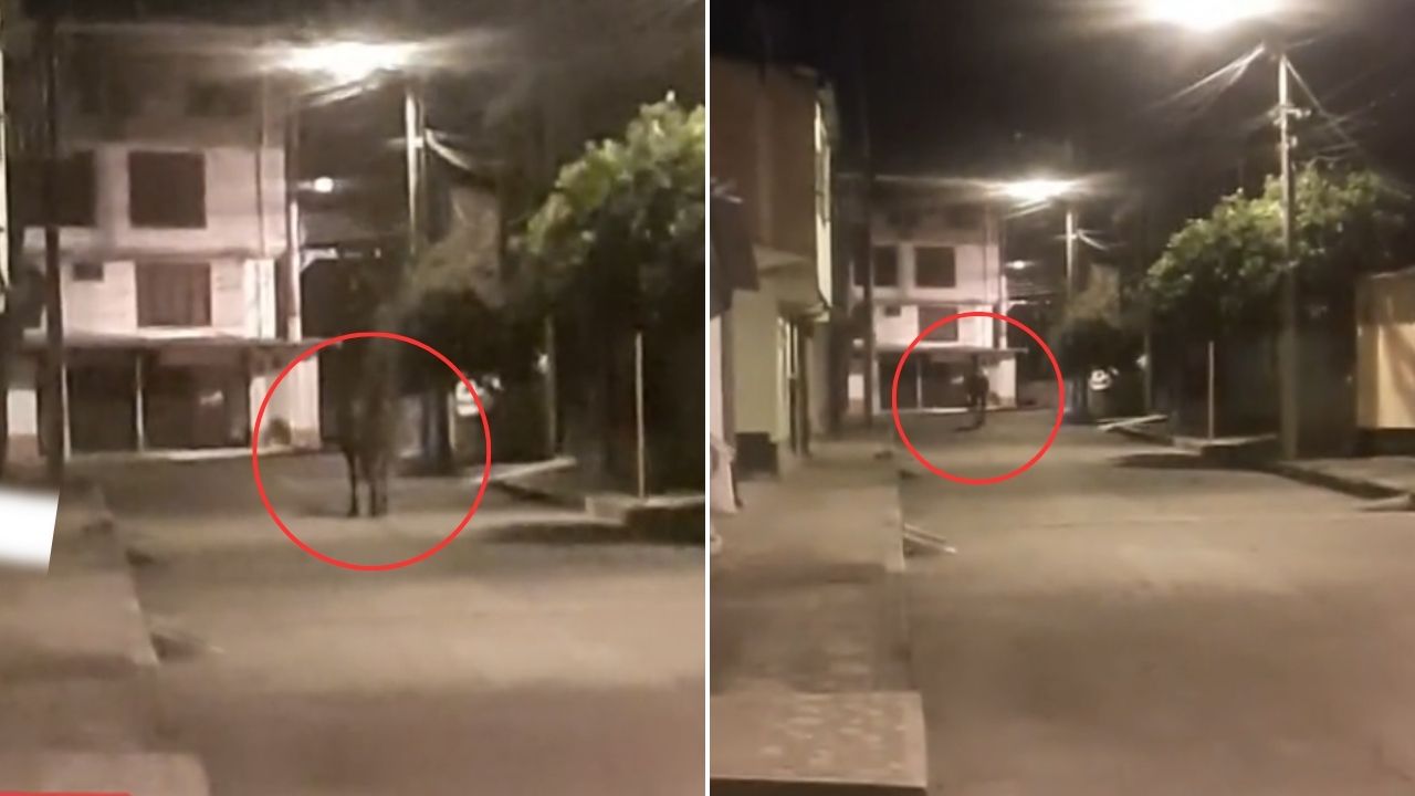 VIDEO: Aseguran que 'caballo fantasma' pasea por las calles de noche Imagen de VIDEO: Aseguran que 'caballo fantasma' pasea por las calles de noche
