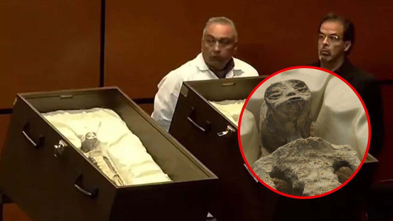 Aliens en el Congreso de México, imágenes de seres no humanos sorprenden a las personas en redes sociales Imagen de Aliens en el Congreso de México, imágenes de seres no humanos sorprenden a las personas en redes sociales