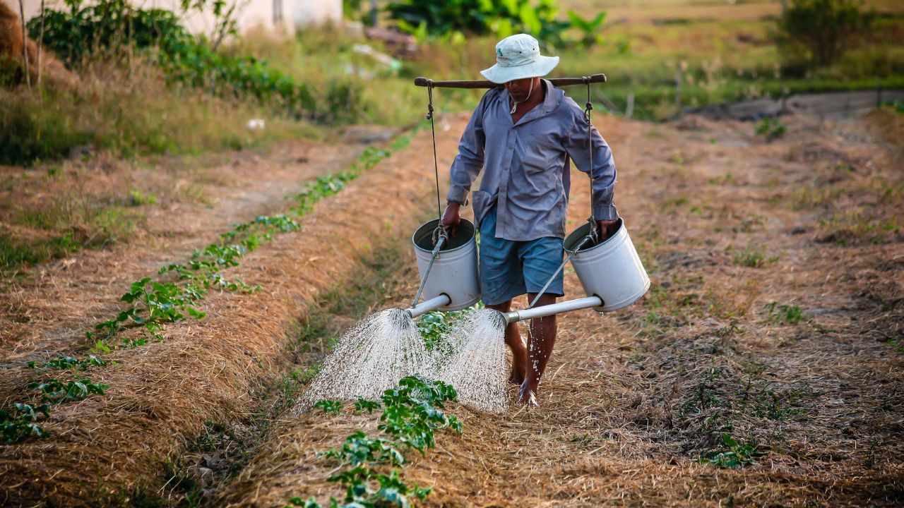 Día del Agricultor en Argentina, por qué se celebra esta fecha Imagen de Día del Agricultor en Argentina, por qué se celebra esta fecha