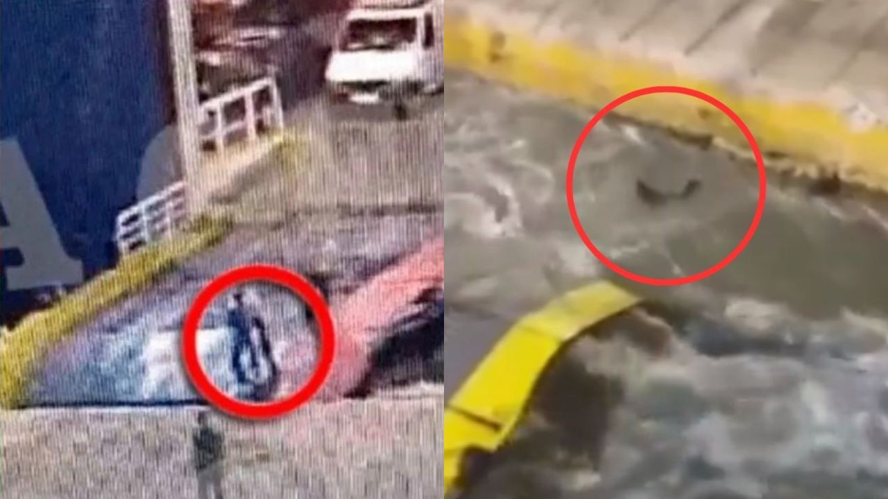 Por llegar tarde: Hombre muere tras ser arrojado al mar por tripulantes de ferry Imagen de Por llegar tarde: Hombre muere tras ser arrojado al mar por tripulantes de ferry