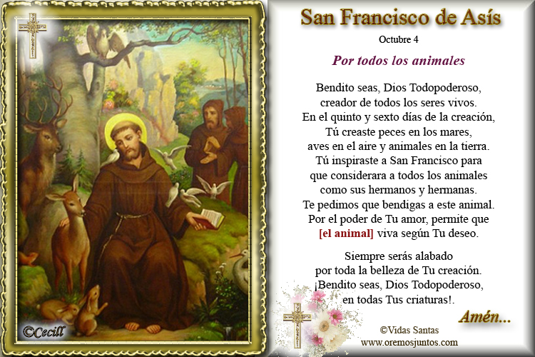 Oración a San Francisco de Asís. Foto: Vidas Santas