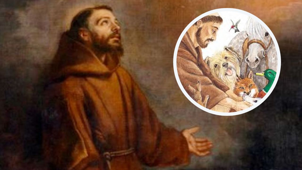 Oración a San Francisco de Asís por las mascotas: rezo para el Santo franciscano Imagen de Oración a San Francisco de Asís por las mascotas: rezo para el Santo franciscano