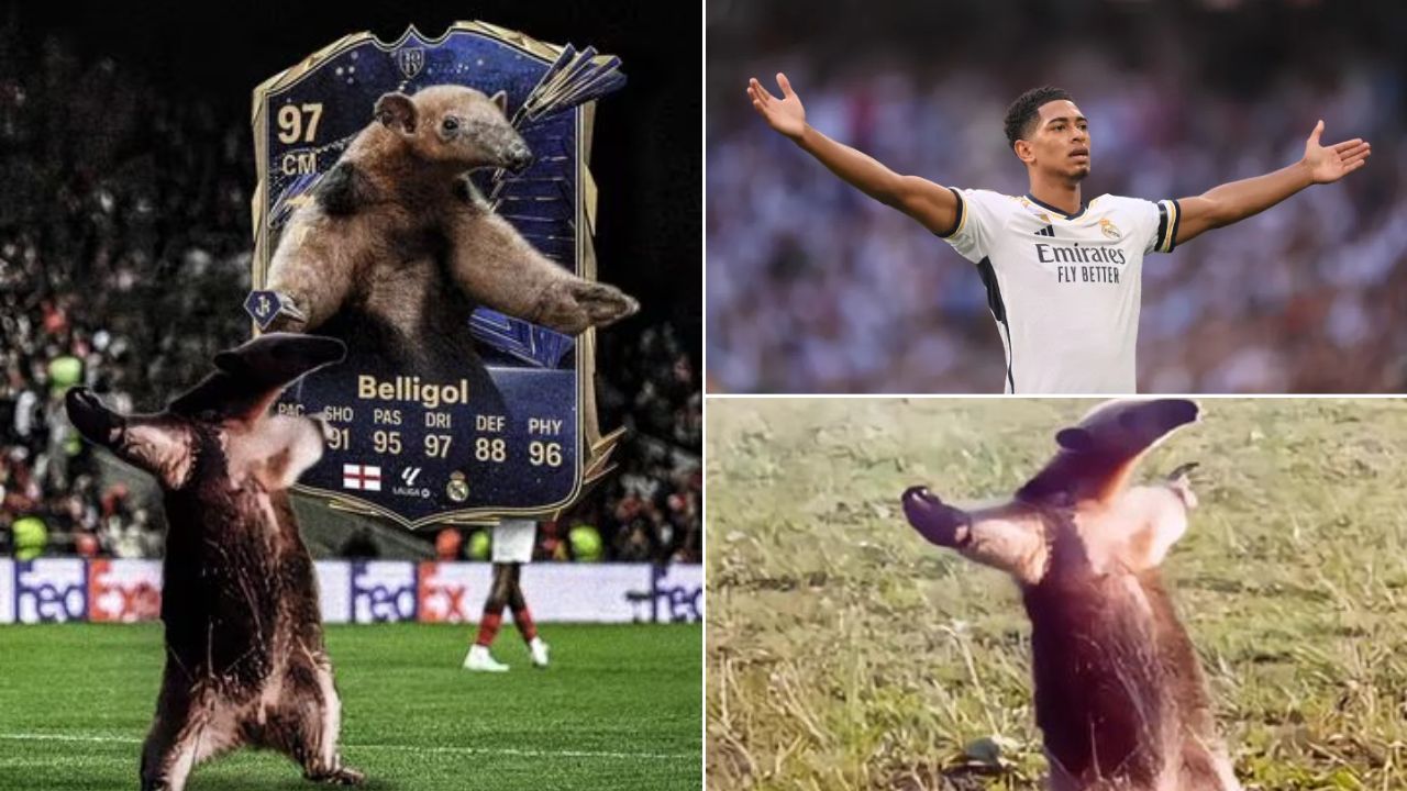 Imagen de Bellingham 'Oso hormiguero': origen del apodo y por qué se le llama así al futbolista