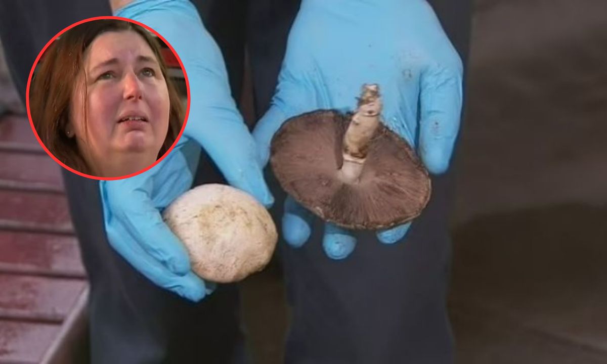 Mujer invitó a sus exsuegros a comer y los envenenó con hongos Imagen de Mujer invitó a sus exsuegros a comer y los envenenó con hongos