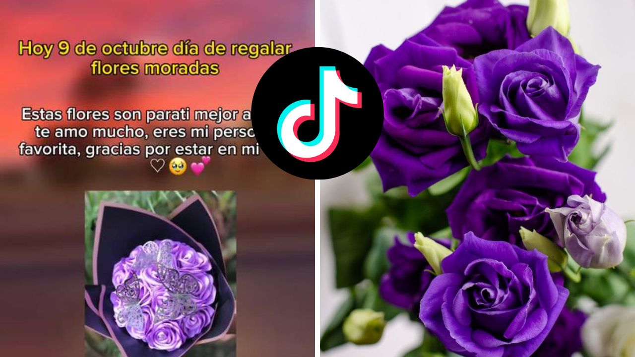 ¿Por qué se regalan flores moradas el 9 de octubre y 9 de noviembre? Esto se sabe del 'trend' en TikTok Imagen de ¿Por qué se regalan flores moradas el 9 de octubre y 9 de noviembre? Esto se sabe del 'trend' en TikTok