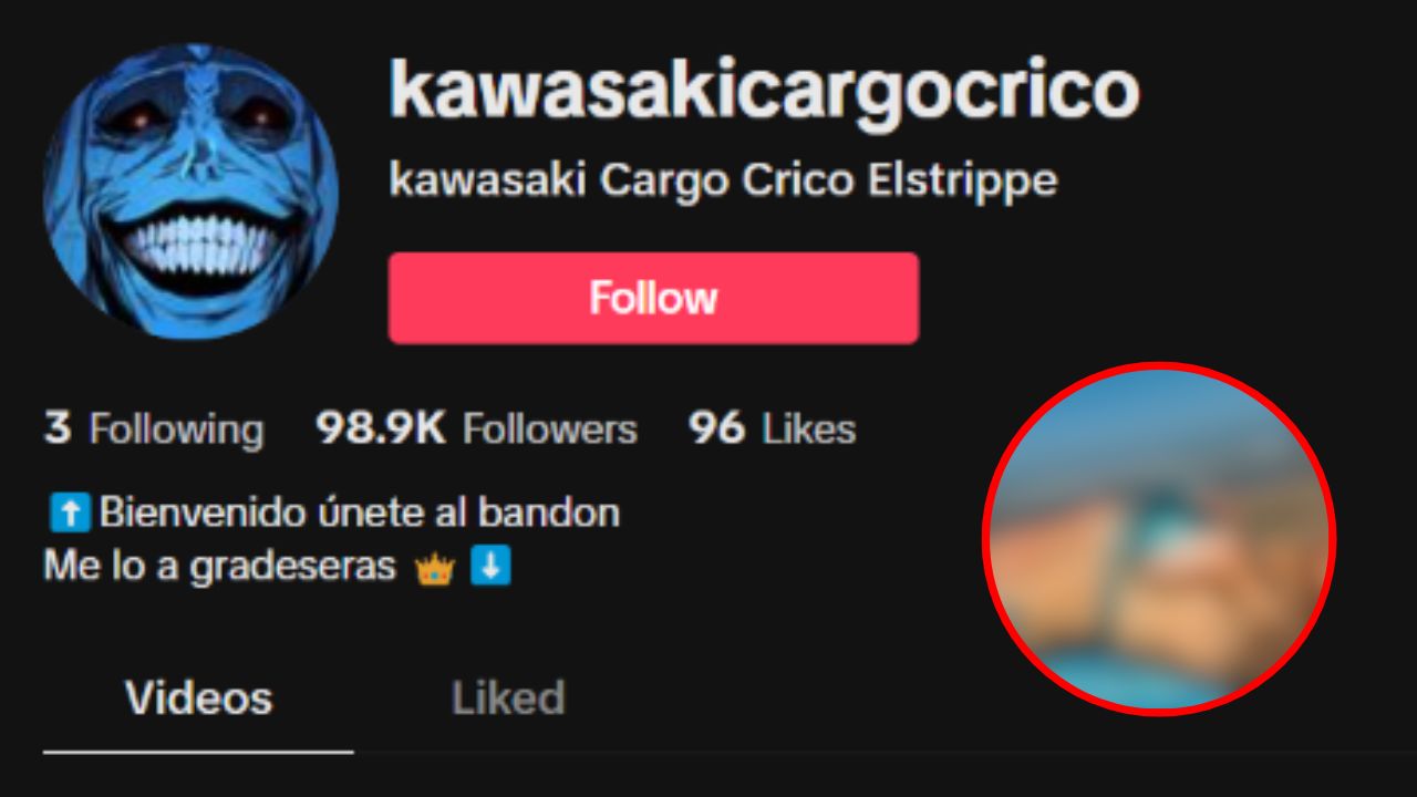 Imagen de Kawasaki cargo reddit video completo de Tiktok: usuario pública contenido subido de tono
