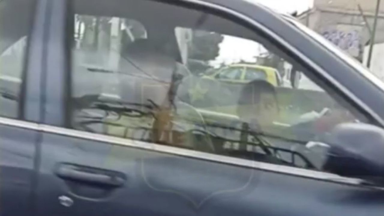 Niño de seis años al volante en calle abierta causa indignación Imagen de Niño de seis años al volante en calle abierta causa indignación