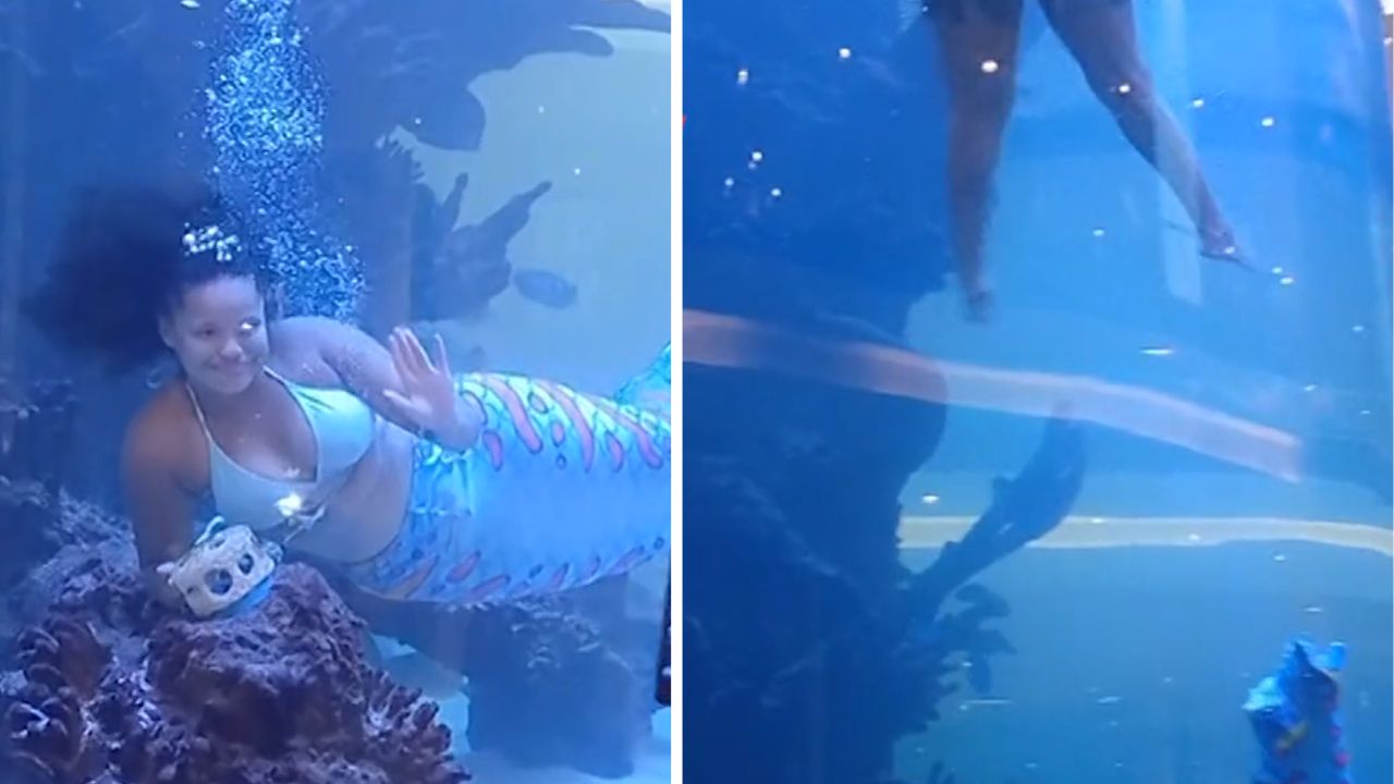 Una mujer que se presentaba como sirena casi se ahoga en un centro comercial Imagen de Una mujer que se presentaba como sirena casi se ahoga en un centro comercial
