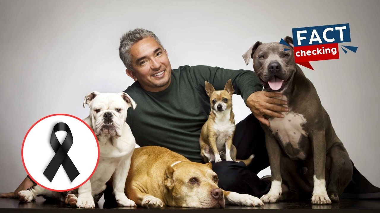 ¿Cesar Millan murió?, redes sociales aseguran que 'El encantador de perros' falleció Imagen de ¿Cesar Millan murió?, redes sociales aseguran que 'El encantador de perros' falleció