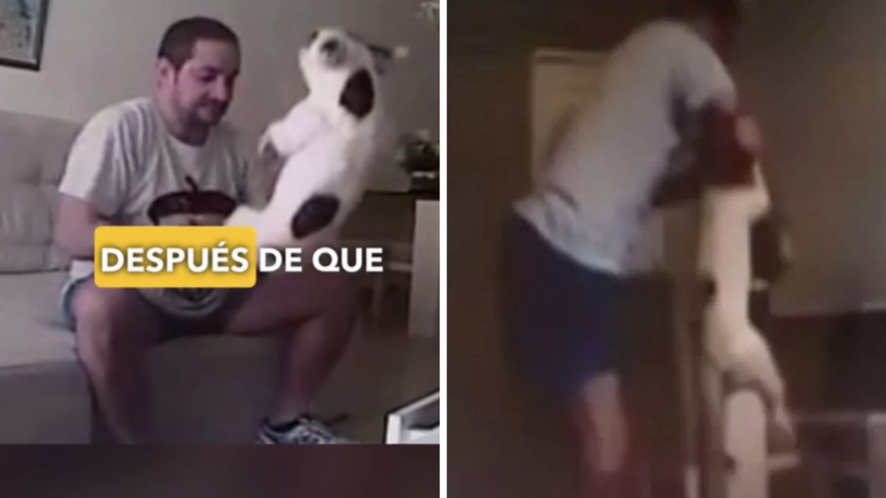 Imagen de Poor dog scary video: mujer capta a su prometido golpeando brutalmente a su perro