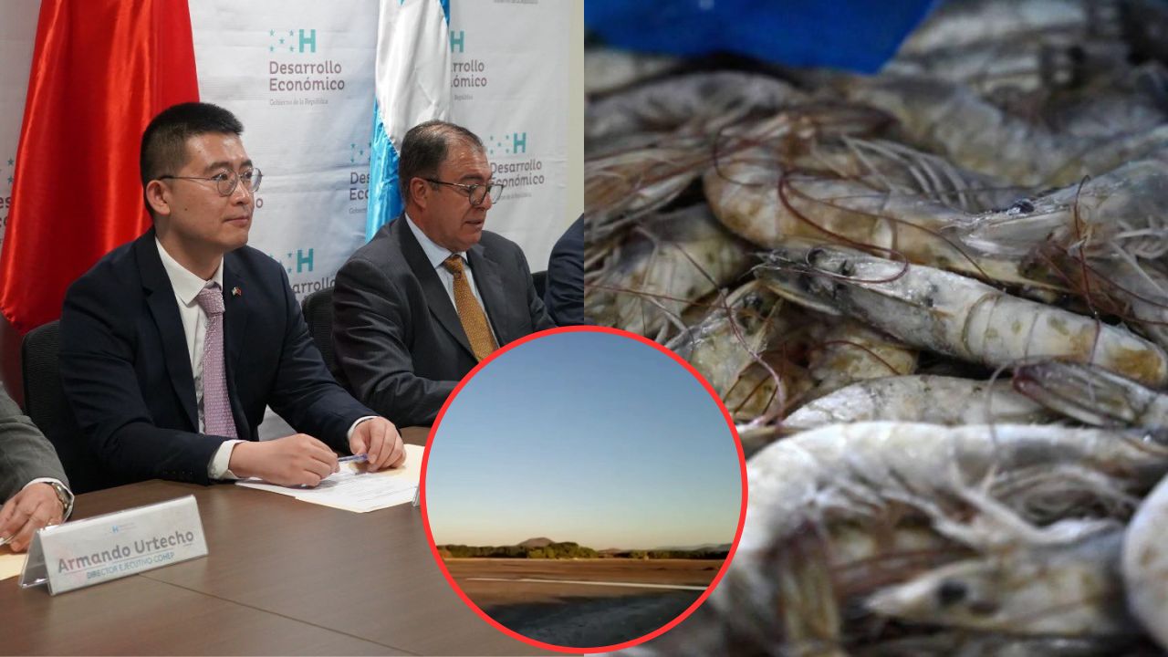 Pese a firma de acuerdo entre Honduras y China, productores de camarón están inconformes Imagen de Pese a firma de acuerdo entre Honduras y China, productores de camarón están inconformes