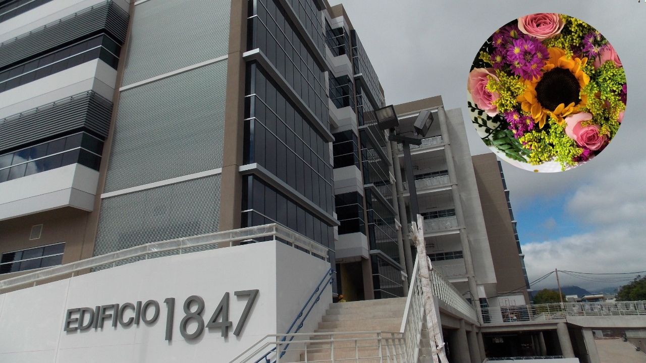 'No sean hambreados': estudiante de la UNAH denuncia que le robaron su ramo de flores Imagen de 'No sean hambreados': estudiante de la UNAH denuncia que le robaron su ramo de flores