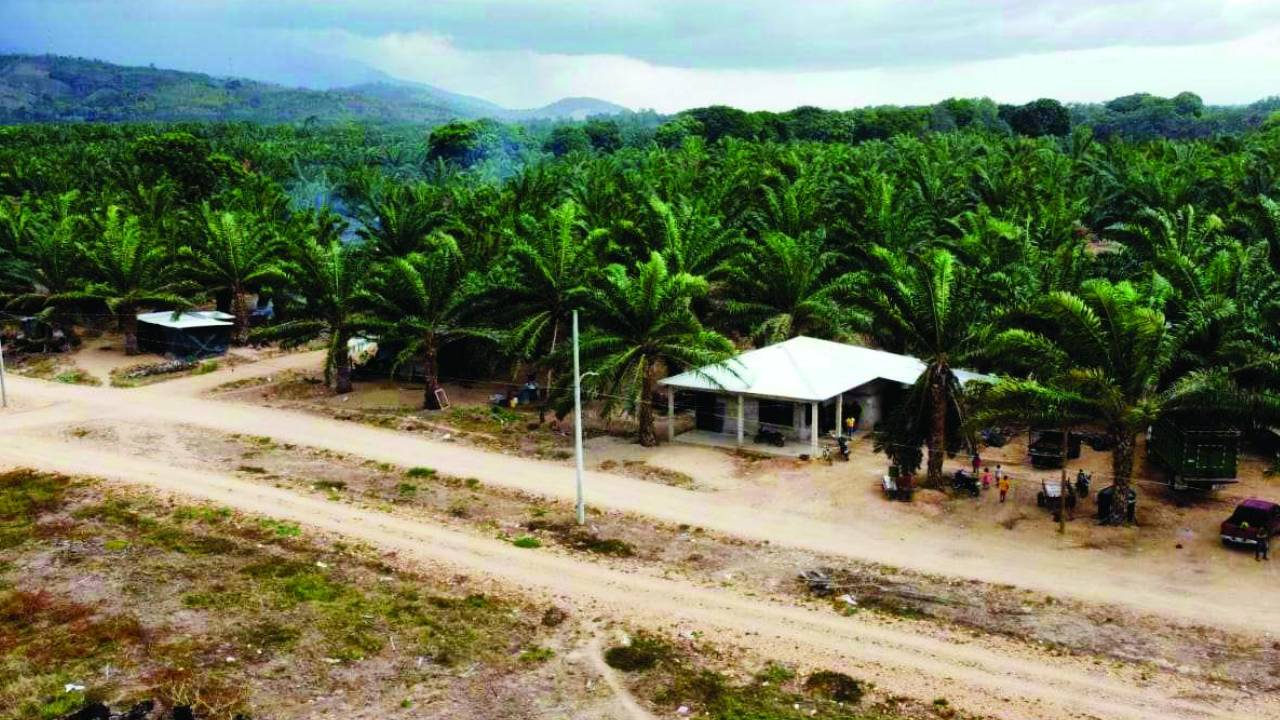 Imagen de Empresarios alertan sobre amenaza de 'hambruna en Honduras' debido a invasiones
