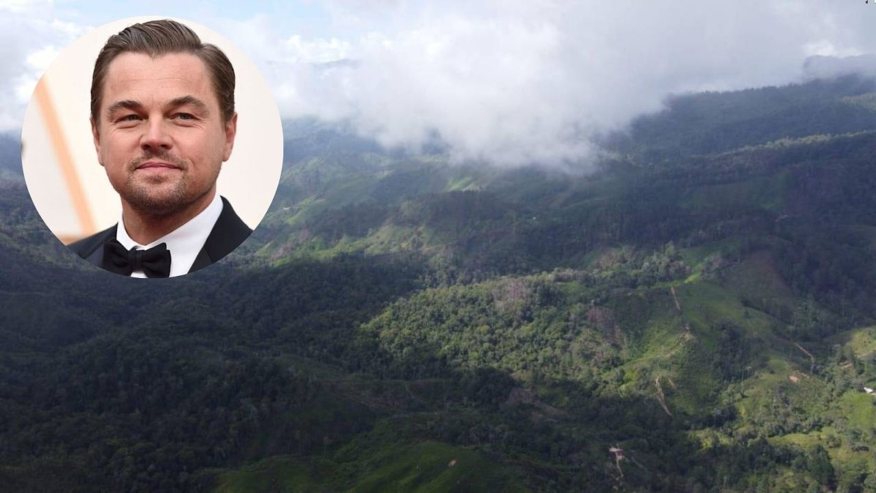 Imagen de Leonardo DiCaprio apoya proyecto para declaratoria de un área protegida en Honduras
