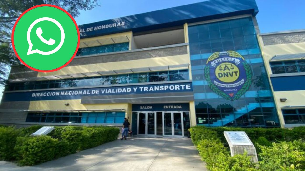 Imagen de Ahora puedes grabar abusos de transportistas y enviar video a la DNVT para que los sancionen