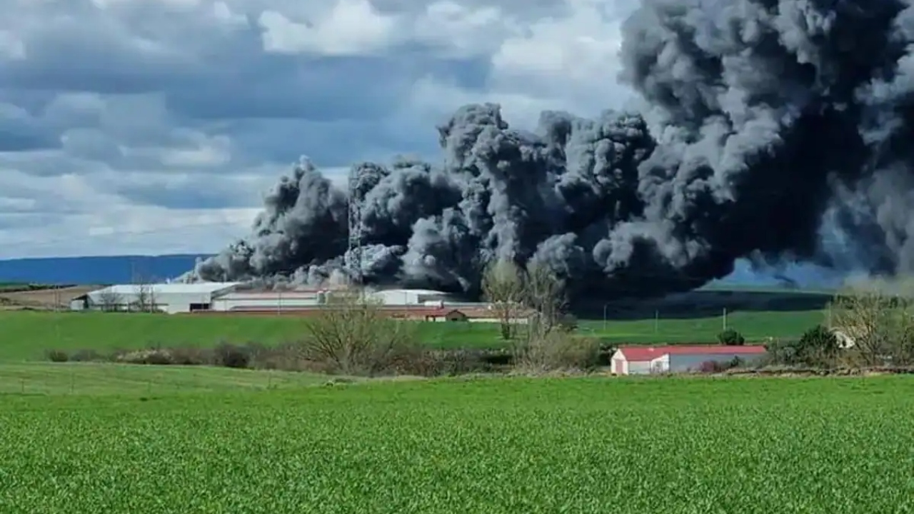 VIDEO: un incendio en una granja avícola provoca la muerte de unas 50,000 gallinas Imagen de VIDEO: un incendio en una granja avícola provoca la muerte de unas 50,000 gallinas