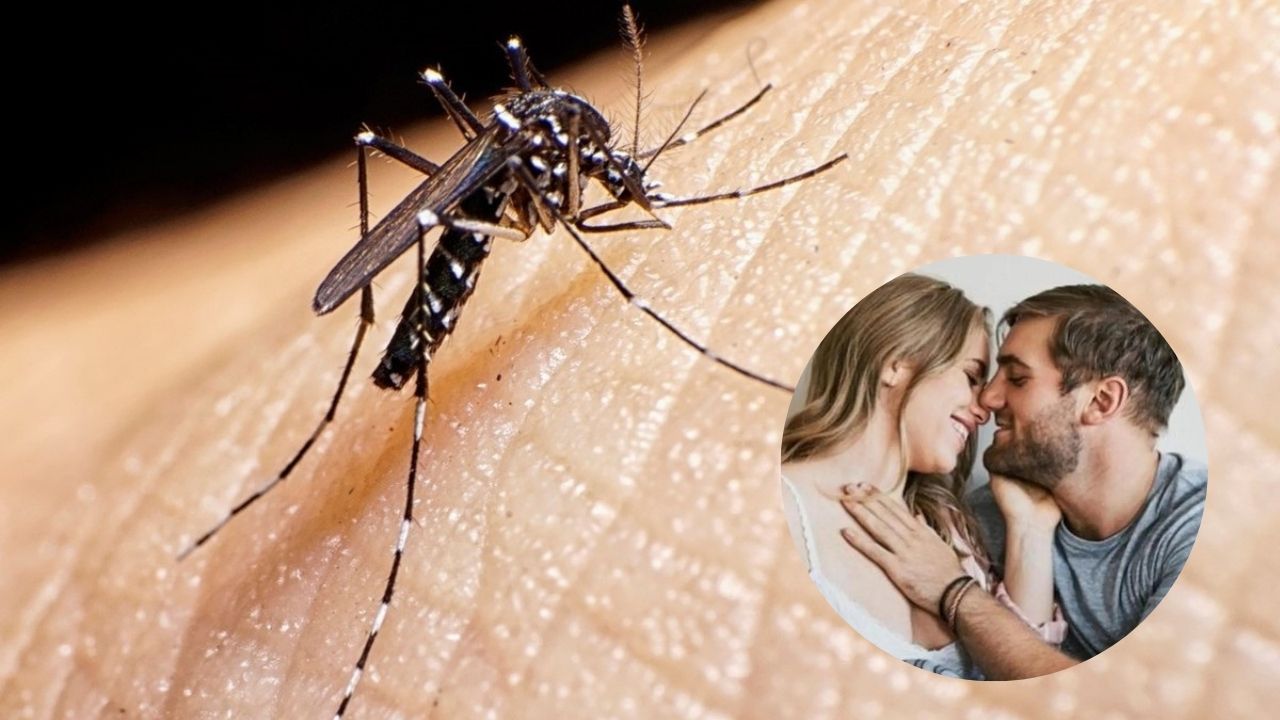 Imagen de ¿El Dengue se transmite por tener relaciones sexuales?, ¿qué se sabe de la enfermedad?