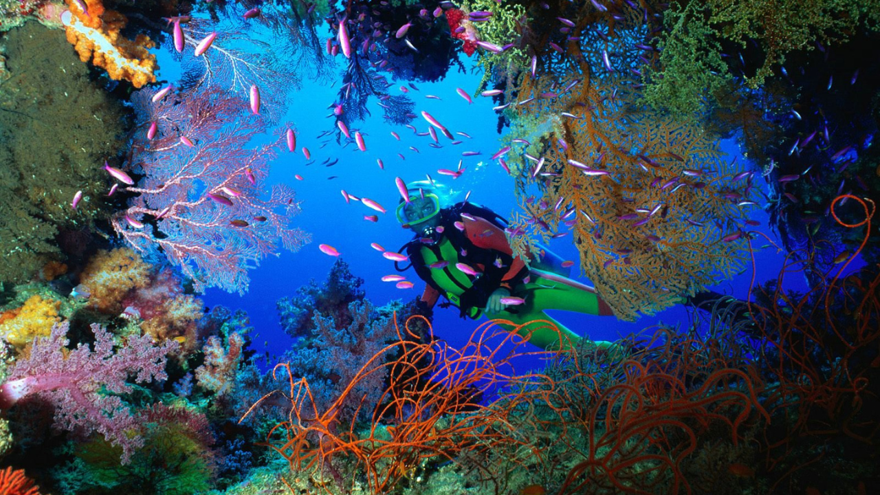Imagen de Mares de Honduras: explorando las fascinantes las costas y mares del país
