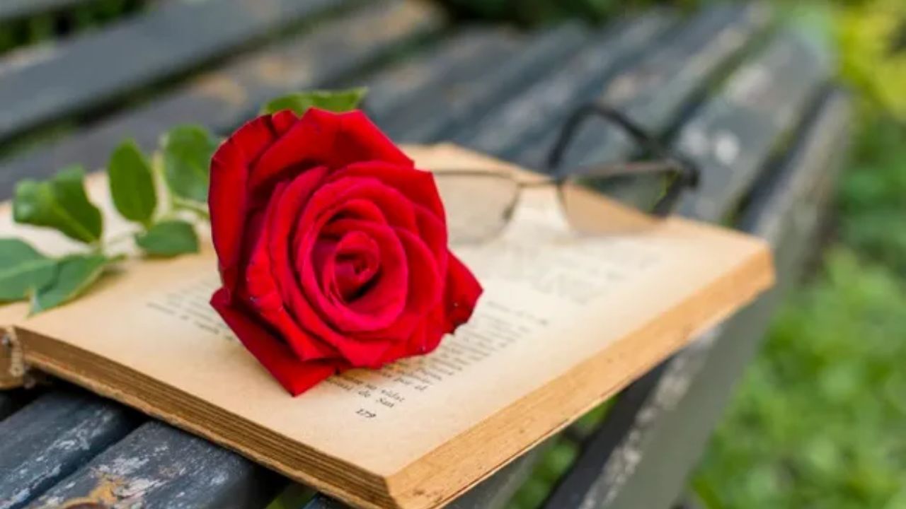 Imagen de ¿Por qué se celebra el Día del Libro?, fecha y origen de la celebración en la cual se regala una rosa