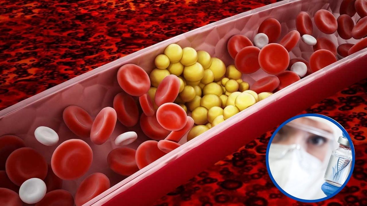 Imagen de Prueban con éxito nuevo fármaco que reduce los niveles de triglicéridos en la sangre