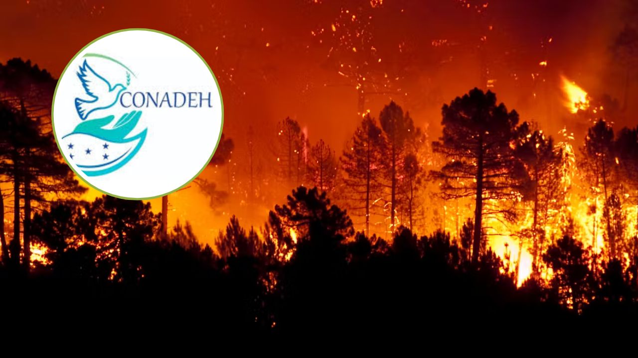 Prevención de incendios debe ser interés nacional, según Conadeh Imagen de Prevención de incendios debe ser interés nacional, según Conadeh