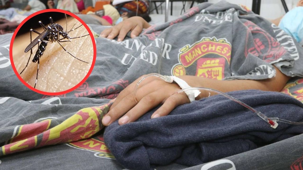 Imagen de Más de 5 mil casos de dengue se registran en lo que va del año en el Distrito Central