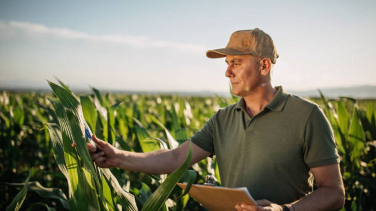 Imagen de Día del Agrónomo en Honduras: ¿Cuándo se celebra y por qué es importante un ingeniero agrónomo?