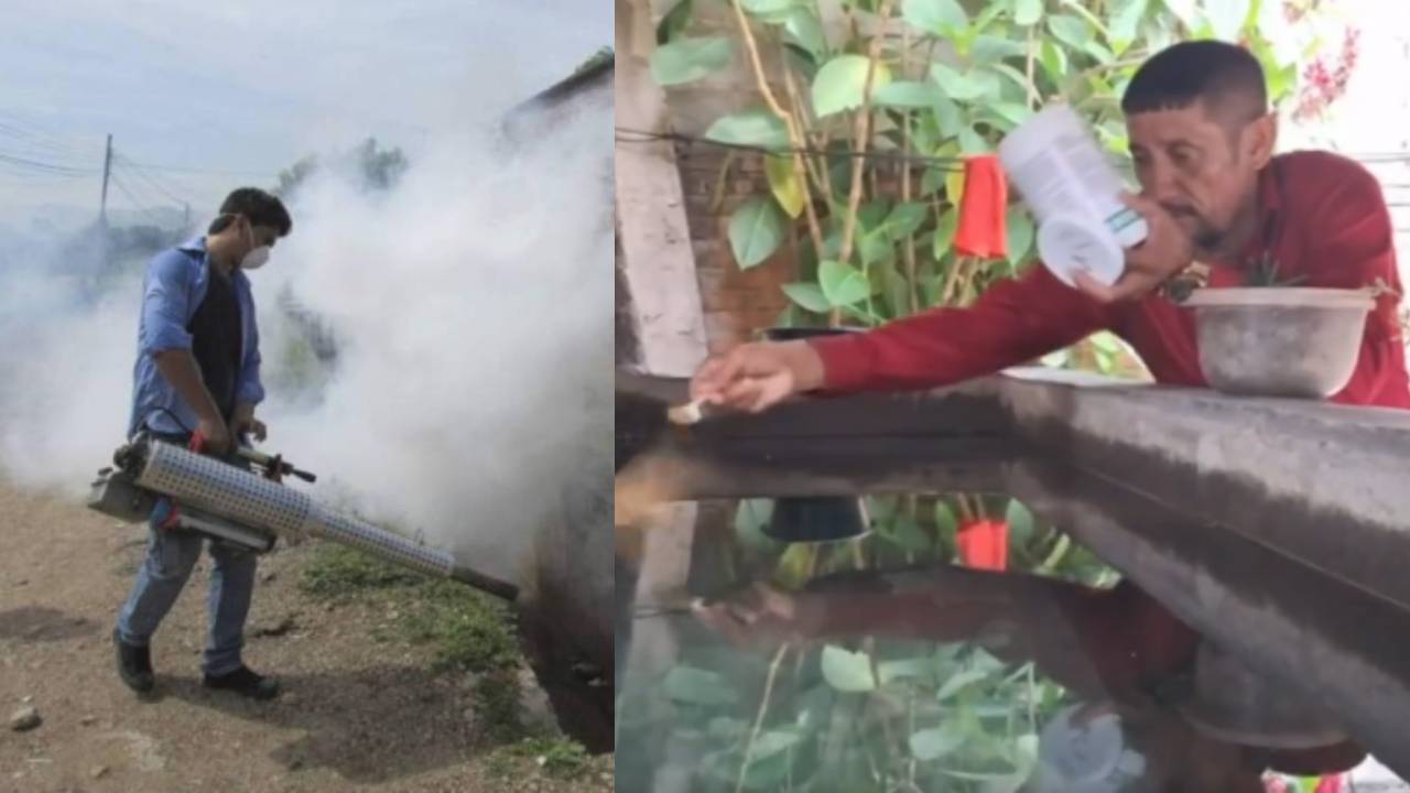 Imagen de Estas colonias del Distrito Central serán intervenidas por dengue