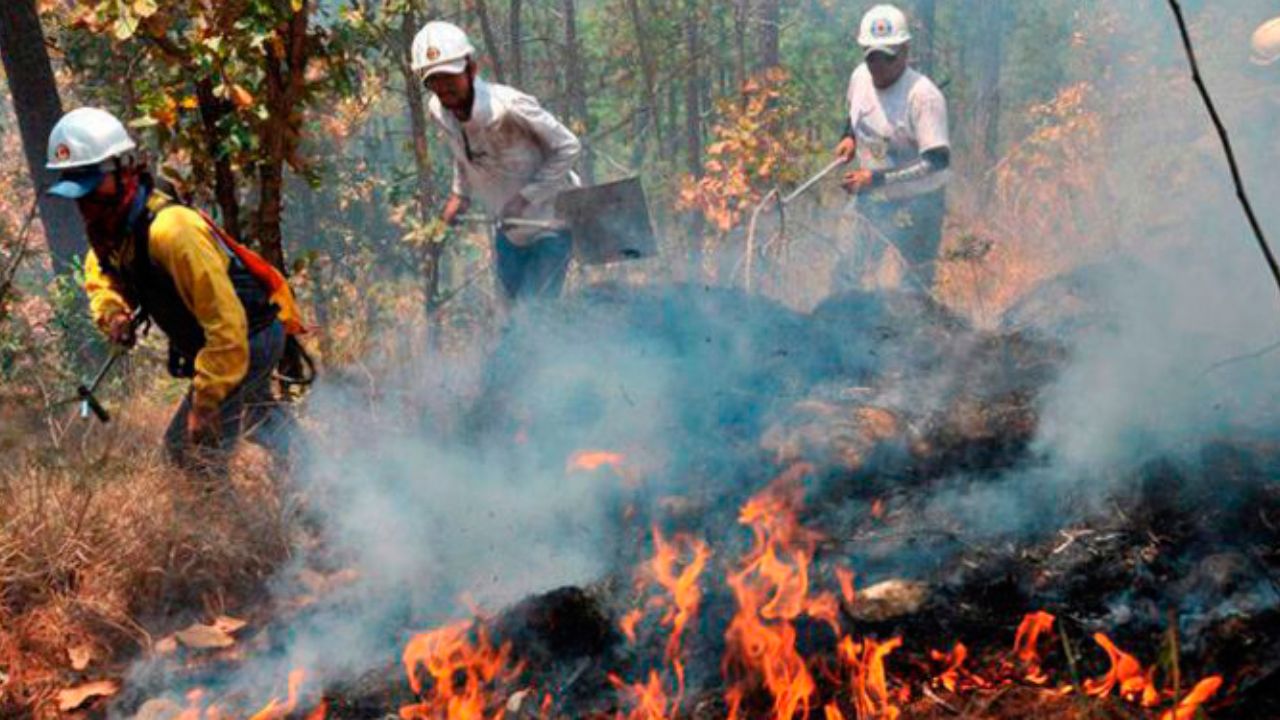 Imagen de Incendios forestales aumentaron drásticamente en Honduras, según Copeco
