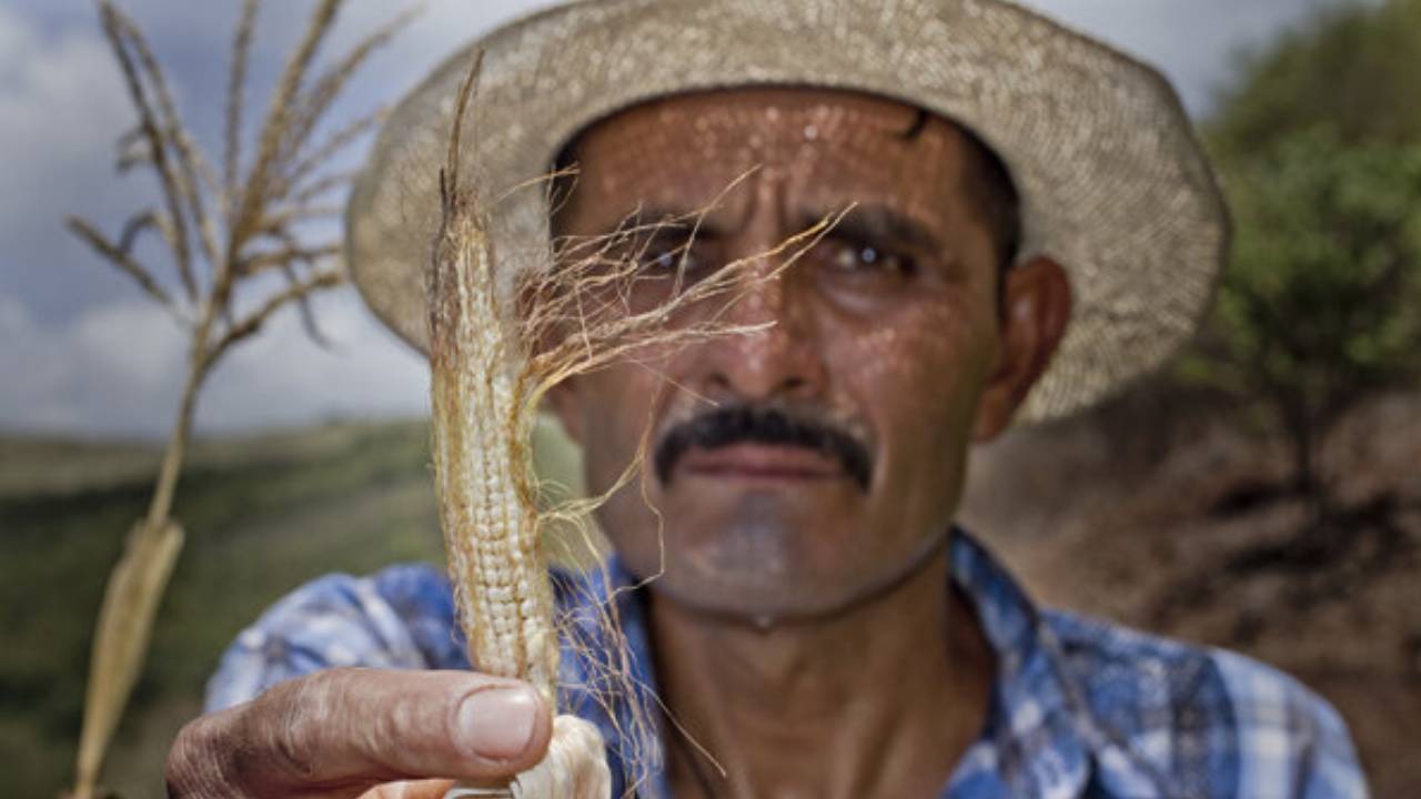Imagen de El Niño empeoró la situación alimentaria de millones de personas en CA