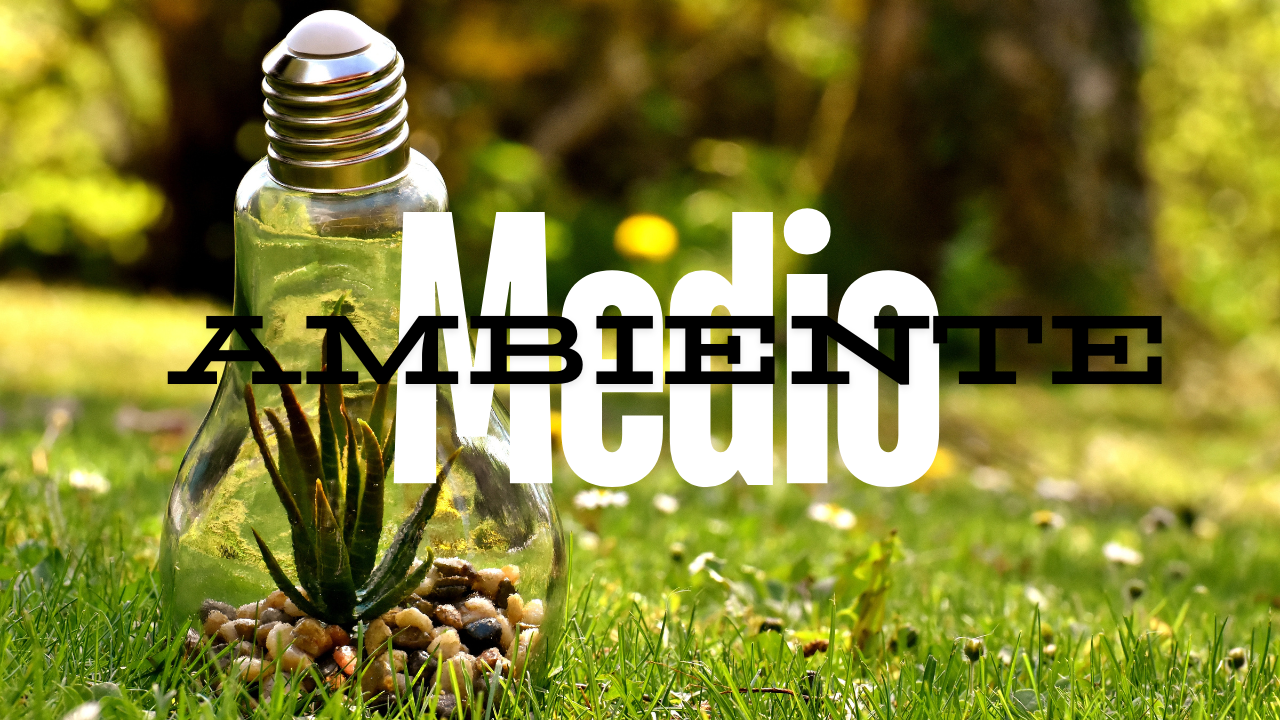 Manualidades para el Día del Medio Ambiente, ideas fáciles y sencillas de hacer Imagen de Manualidades para el Día del Medio Ambiente, ideas fáciles y sencillas de hacer