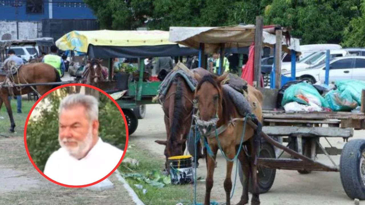 Imagen de Roberto Contreras cuestiona a dueños de caballos por no aceptar trabajos con salarios de 18 mil lempiras