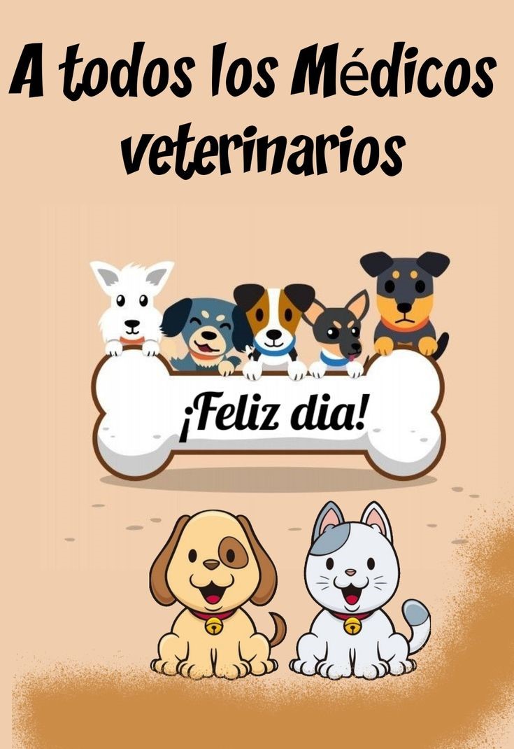 Imagen de caricaturas de animales que dice 'A todos los veterinarios Feliz Día'. 