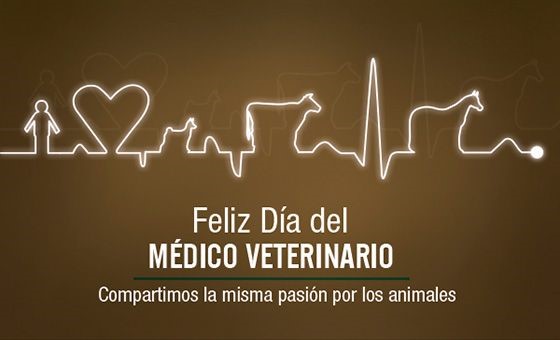 Imagen de ritmo cardíaco con forma de animales y mensaje de felicitación.