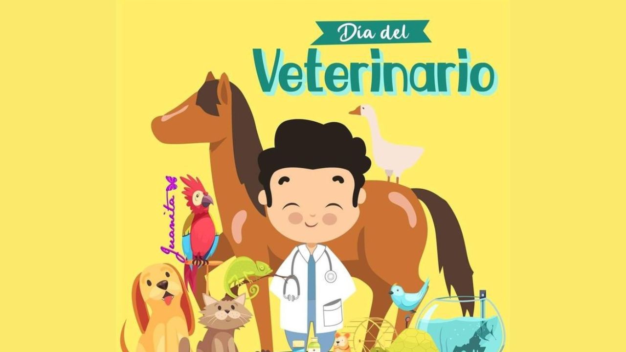 Imagen de Imágenes Día del Veterinario: Celebración del 6 de Agosto en Argentina