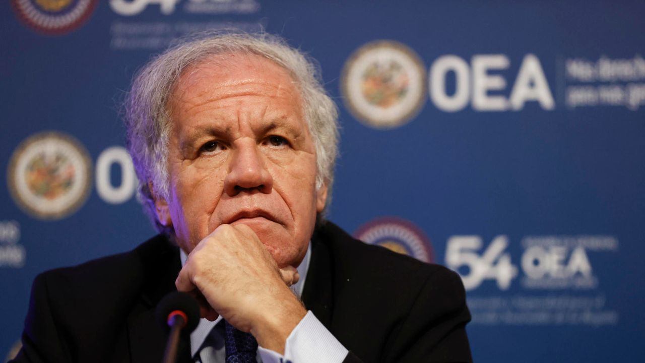 La OEA aprueba una resolución que pide publicar las actas electorales de Venezuela Imagen de La OEA aprueba una resolución que pide publicar las actas electorales de Venezuela