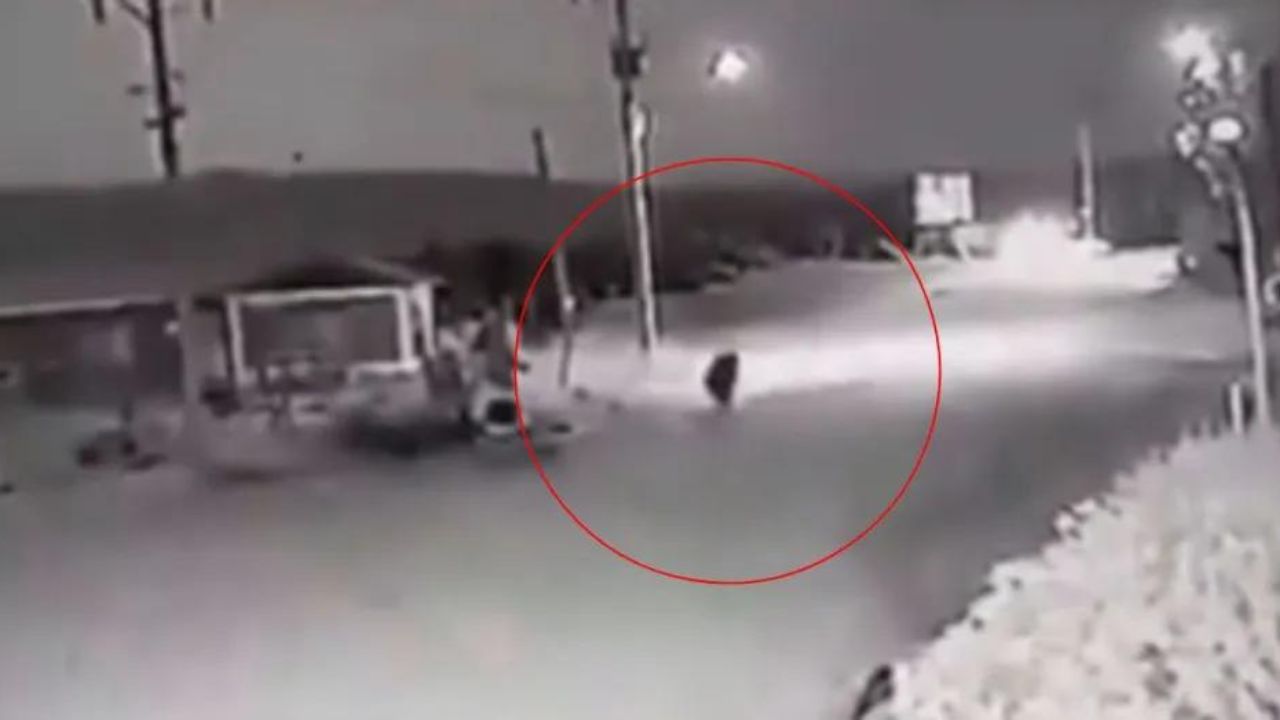 Video escalofriante muestra a un perro transformándose en un hombre Imagen de Video escalofriante muestra a un perro transformándose en un hombre