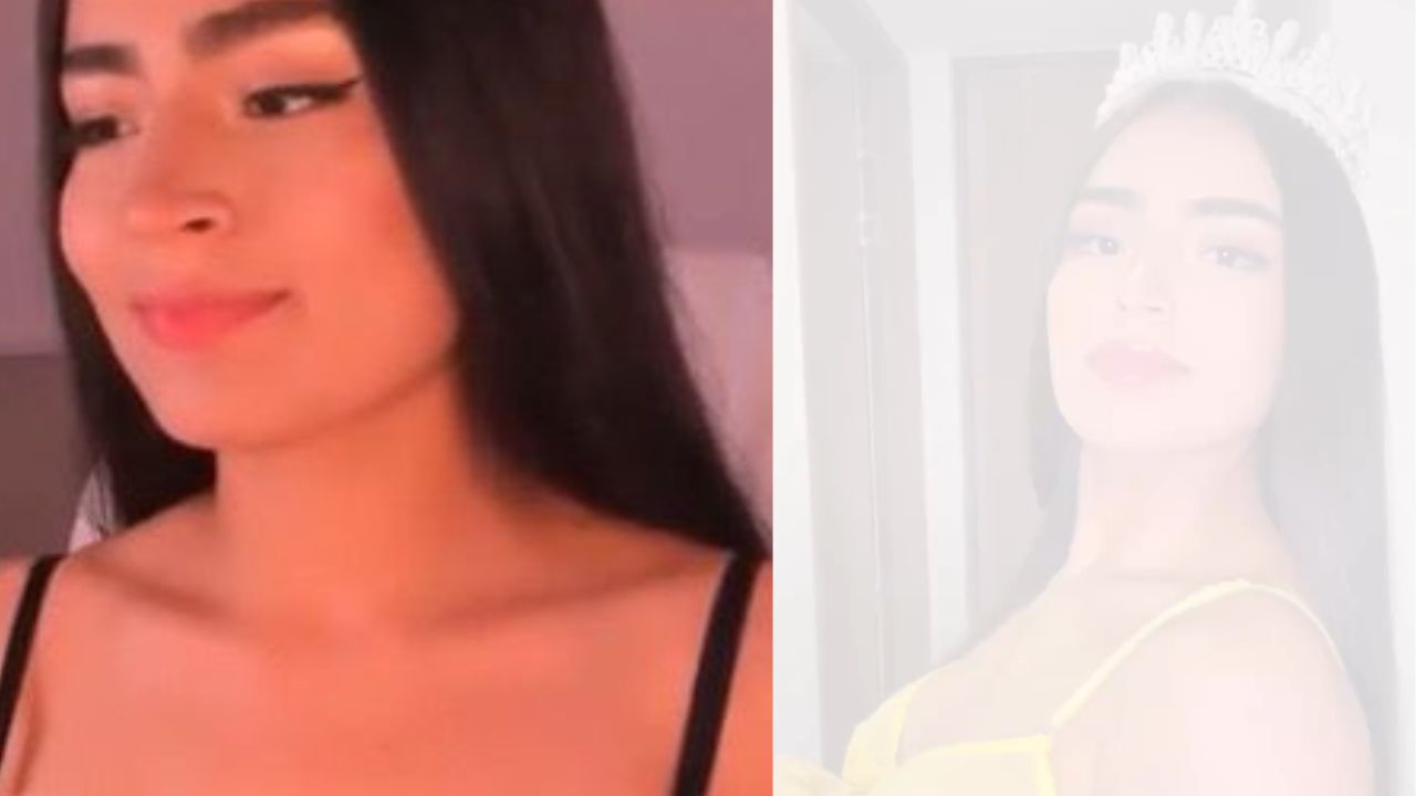 Imagen de ¿Quién es Pamela Evans, la modelo de webcam? ¿Cuál es su edad y origen?