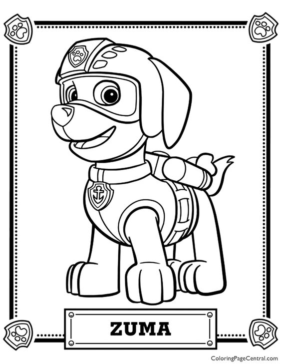 Imagen de Zuma de Paw Patrol para colorear 